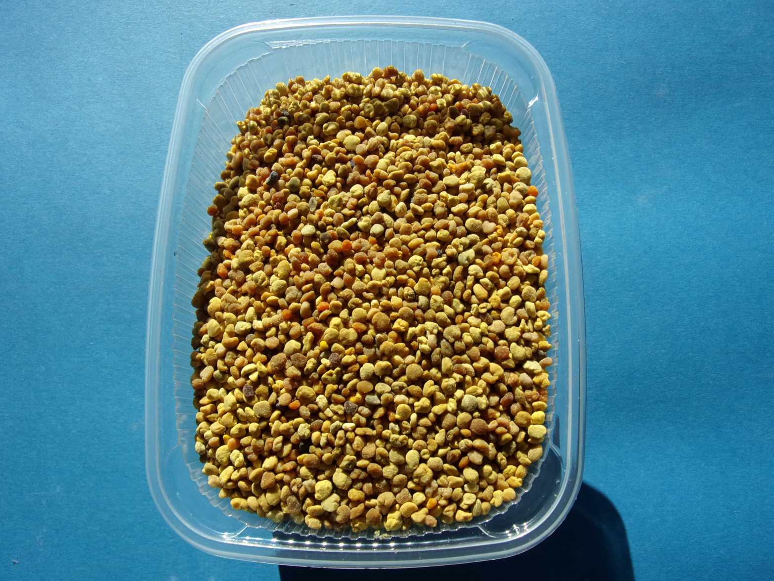 Blüttenpollen Granulat